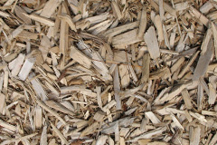 biomass boilers Tatton Dale